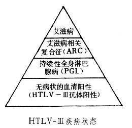 获得性免疫缺陷综合征相关淋巴瘤