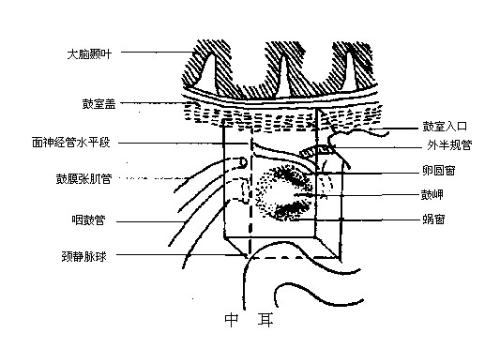 2016-2021年中国中耳分析仪产业市场运行及产业发展趋势研究报告