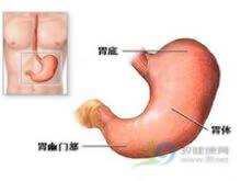 新生儿胃穿孔+-+搜搜百科