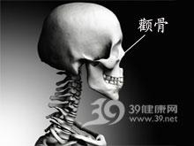 of malar bone)常伴发上颌骨骨折颧骨的颞突与颞骨的颧突连接