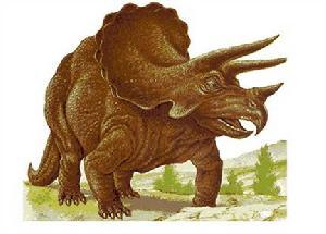 据古生物学家介绍,三角恐龙属于食草类动