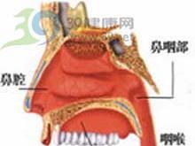 萎缩性鼻炎