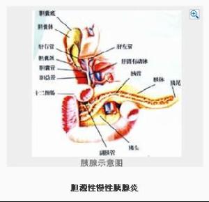 关于经空肠营养管行肠内营养的专科毕业论文范文