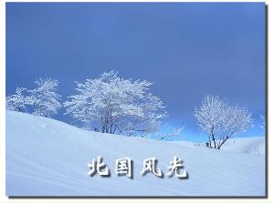 《沁园春·梦孚若》