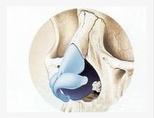 鼻部整形+-+搜搜百科