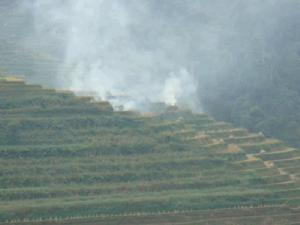 重庆市长寿区双龙镇