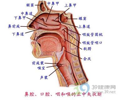 脱敏疗法-+搜搜百科