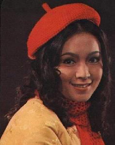 林月云-简介 林月云是台湾70年代著名的闵南语演员,年轻的时候不知有