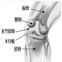 医学专家聚焦膝关节滑膜炎：倡导科学管理与治疗策略以缓解症状