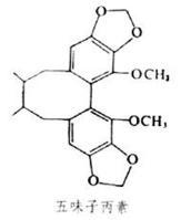 其结构可以五味子丙素为代表.