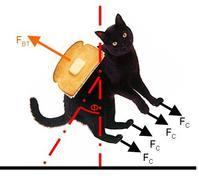黄油猫悖论 - 搜搜百科