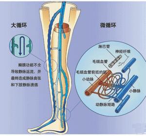 鸭王电影在线观看
