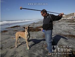 大丹麦狗马默杜克