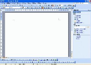 word+2003+工作界面