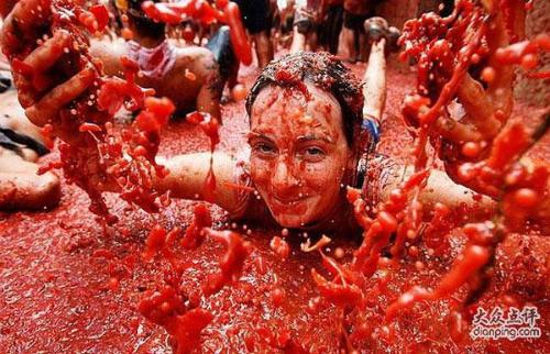 西班牙西红柿节图片