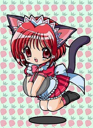 东京猫猫藤原驭