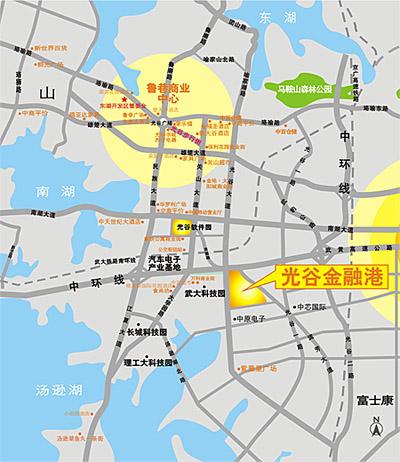 武汉光谷经济总量2020_武汉光谷东规划图2020(2)
