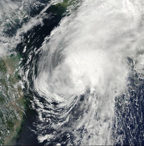 2010年太平洋台风季