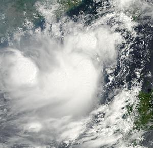 2010年太平洋台风季