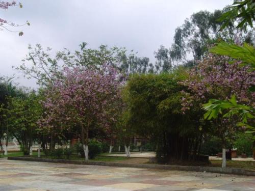 广西职业技术学院+-+搜搜百科