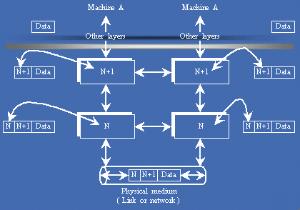计算机网络体系结构