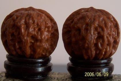 闷尖是指狮子头核桃里面的一种