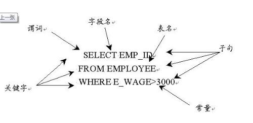关系语言是什么语言_什么是关系?_关系定义