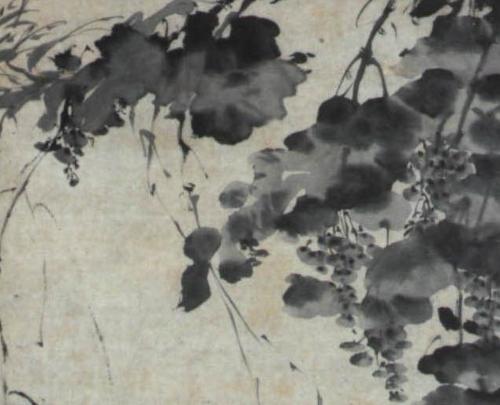 明徐渭墨葡萄图- 搜搜百科