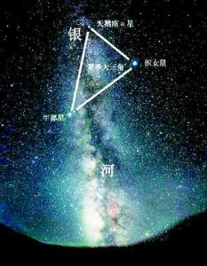 牛郎星+-+搜搜百科