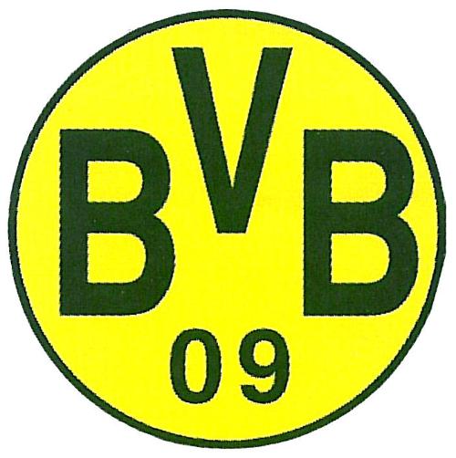 多特蒙德VS霍芬海姆全场直播高清流畅无延迟观看体验