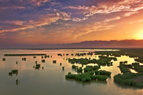 宁夏沙湖 搜狗百科