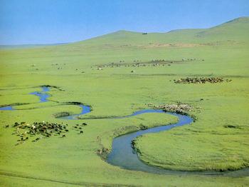 内蒙古高原+-+搜搜百科