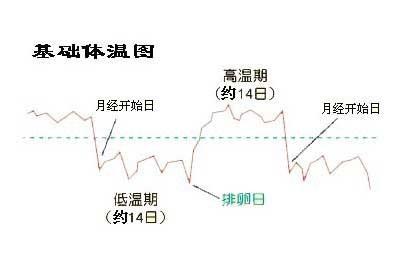 所以监测基础体温是检测<em>排卵</em>期最准确的方法