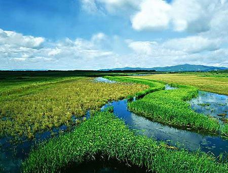 四川若尔盖湿地自然保护区