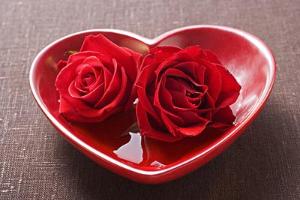 爱情观 - 搜搜百科