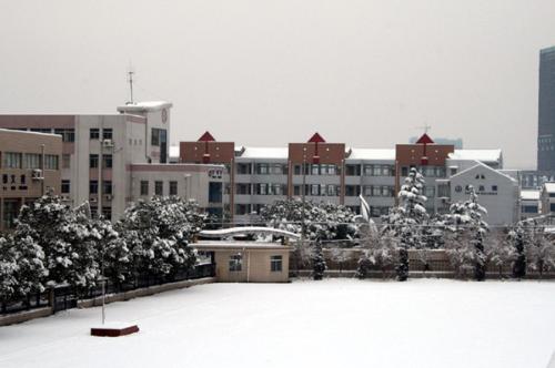 江阴市要塞中学2010-2011学年度第一学期初二数学期末试题答题卷