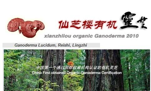 仙芝楼灵芝孢子油