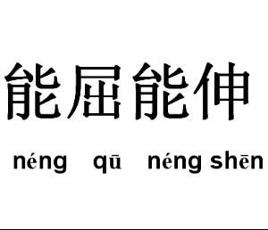 谁能给我解释一下 大丈夫 能屈能伸