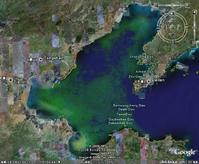 渤海湾