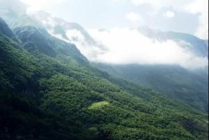 昭通巧家药山