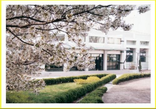 山东省青岛卫生学校-+搜搜百科