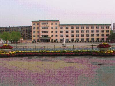 20110215162753-516071317.jpg