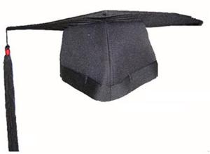 <em>女博士</em>潜规则 - 搜搜百科