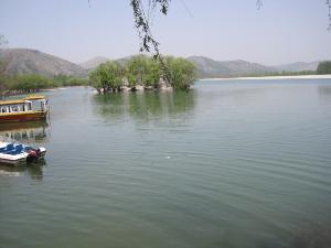 浏览词条  编辑摘要 摘要   大五柳风景名胜区地处宿州夹沟镇境内,因