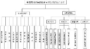 公司组织机构