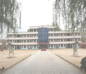 河南省民权县林七乡初级中学各类高中生竞赛图片
