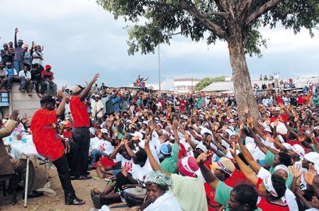 非洲 黑人日 白人图