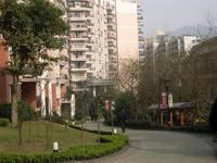 东林大道 图片