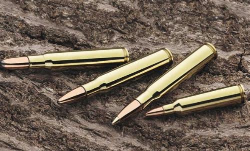 子弹体育强势来袭