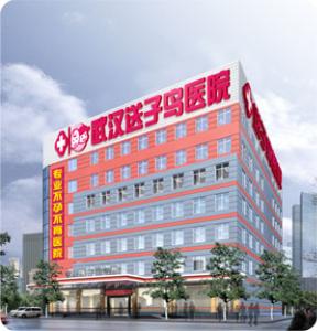 武汉送子鸟医院